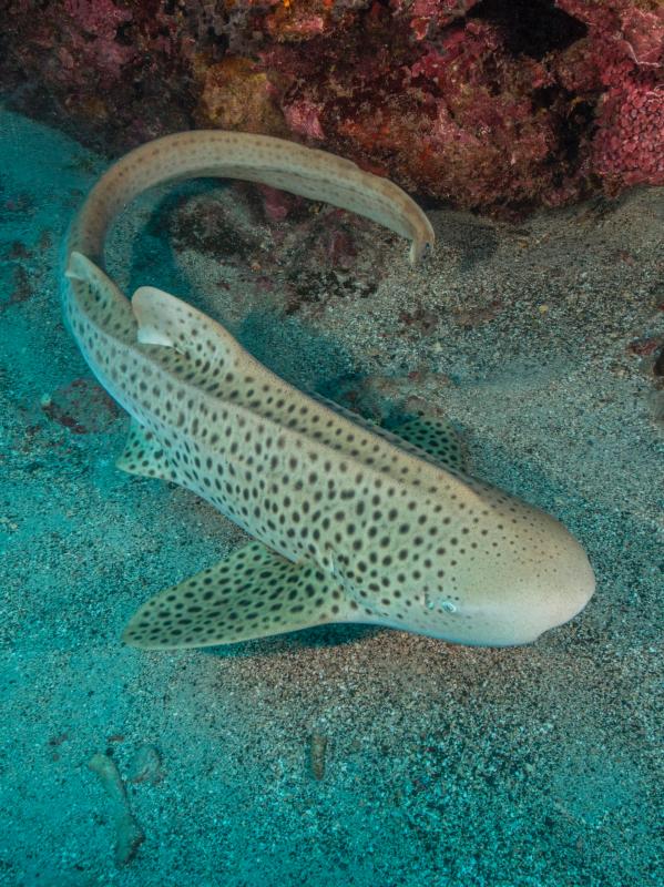 d0fd42c8-0db5-2136-5414c241b9cfbb55-large